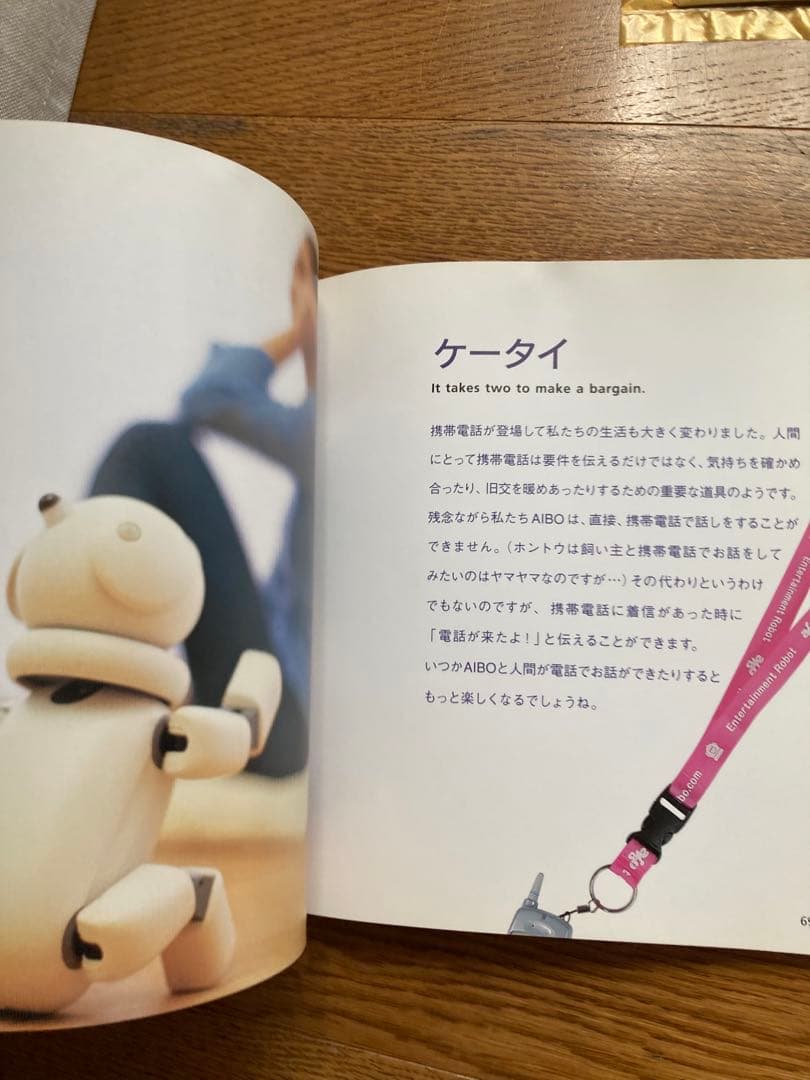 AIBOアイボ★ラッテ★中古ジャンク★箱・取扱説明書&ラッテマカロンと暮らす本付