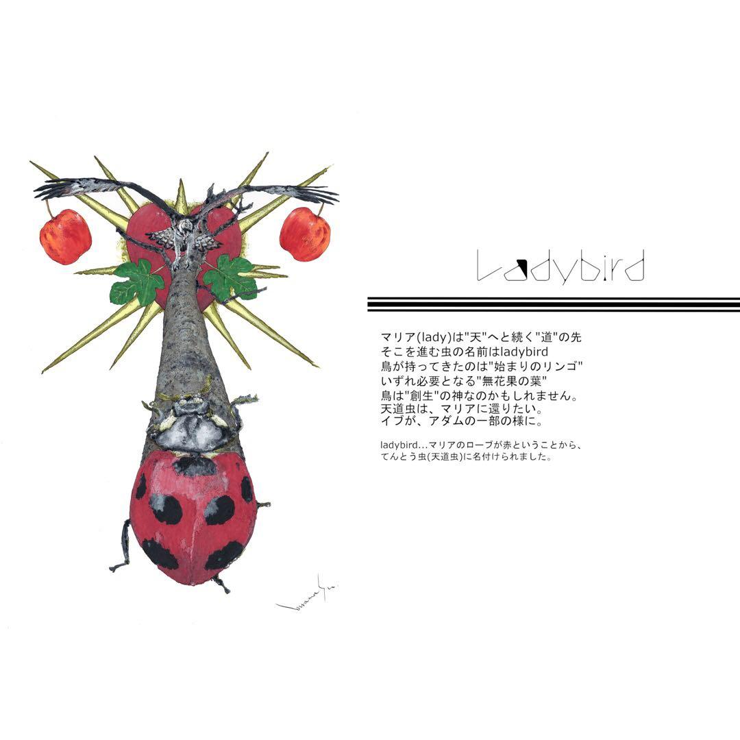 【2026年発表】『Ladybird』Darma