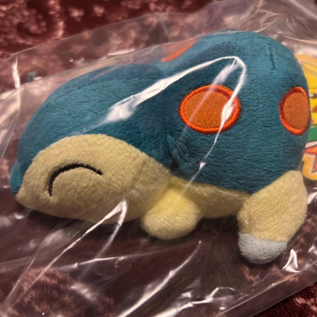ポケモンセンター　ヒノアラシ　10thアニバーサリー ポケモンドール　ぬいぐるみ