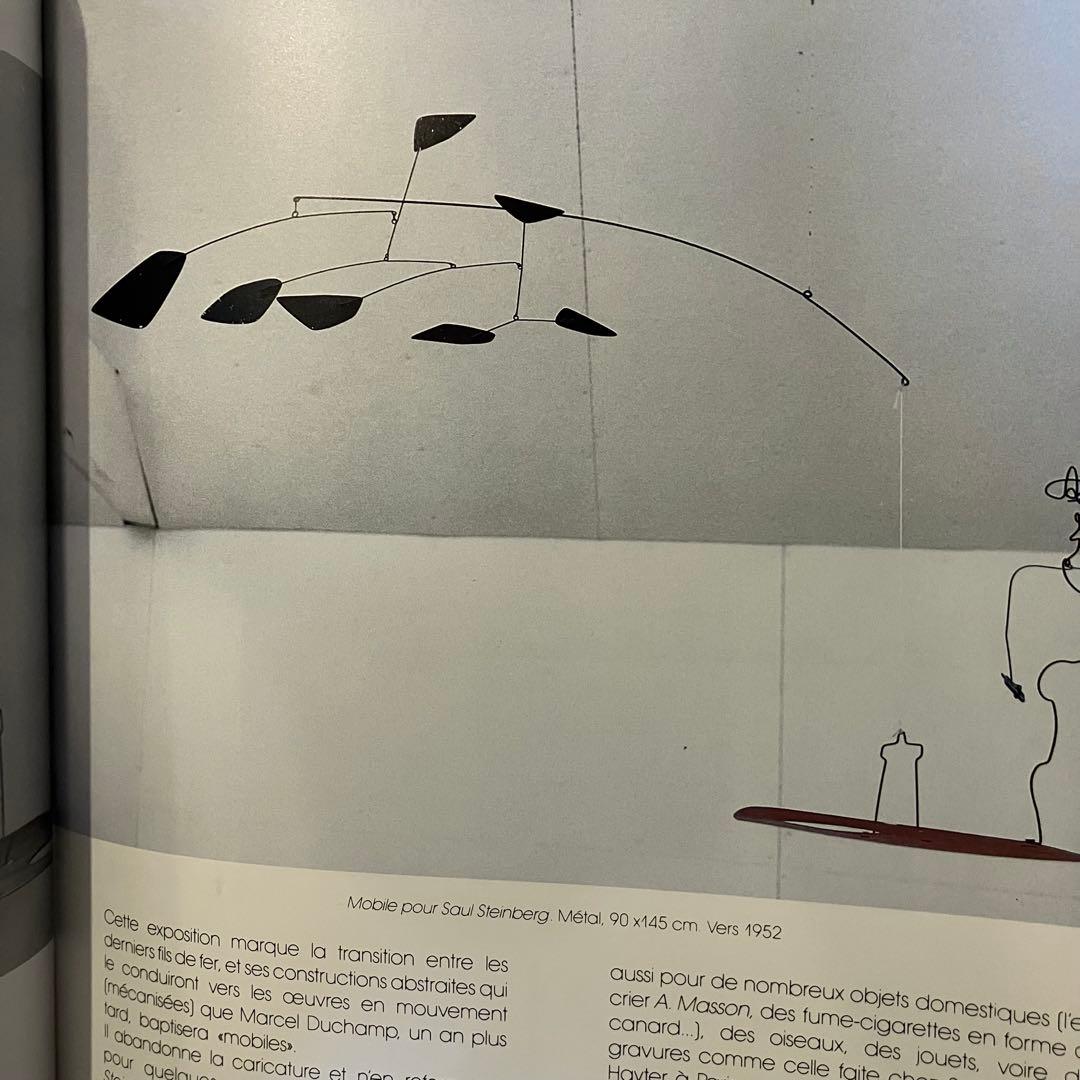 希少 カルダー CALDER INTIME 洋書 フランス語 インタイム 本