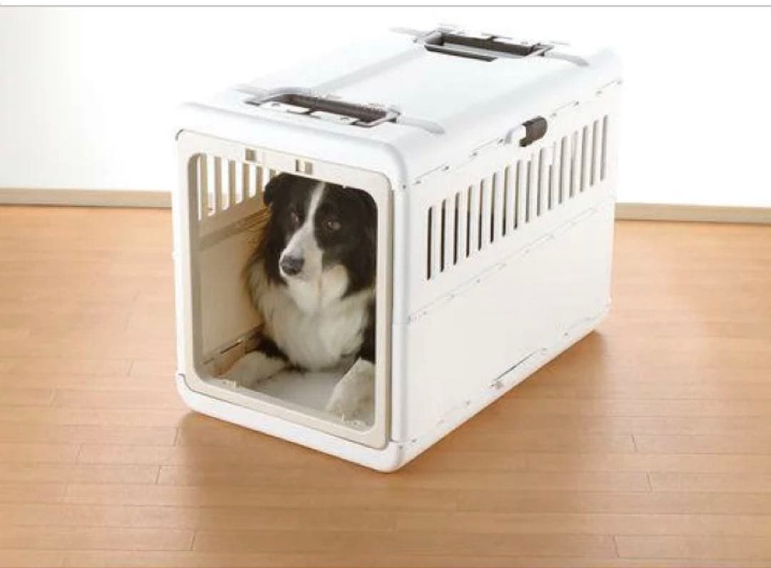 犬　ゲージ