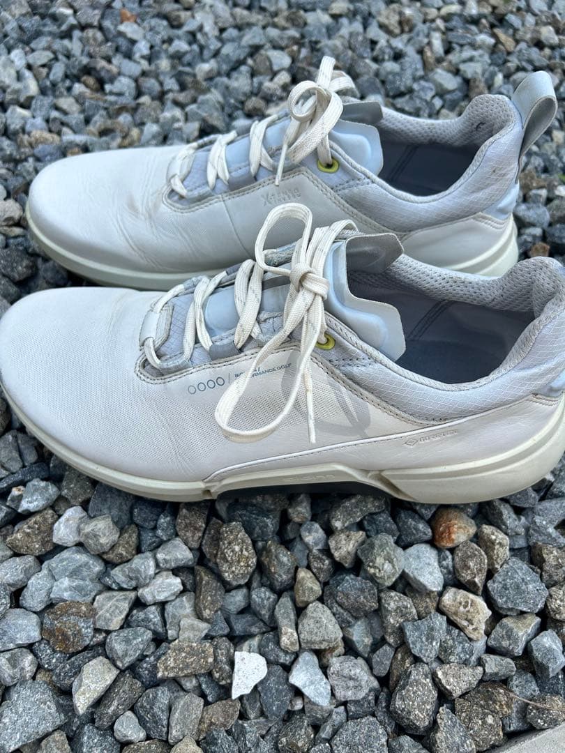 シューズ(男性用) ecco BIOM HYBRID4 H4