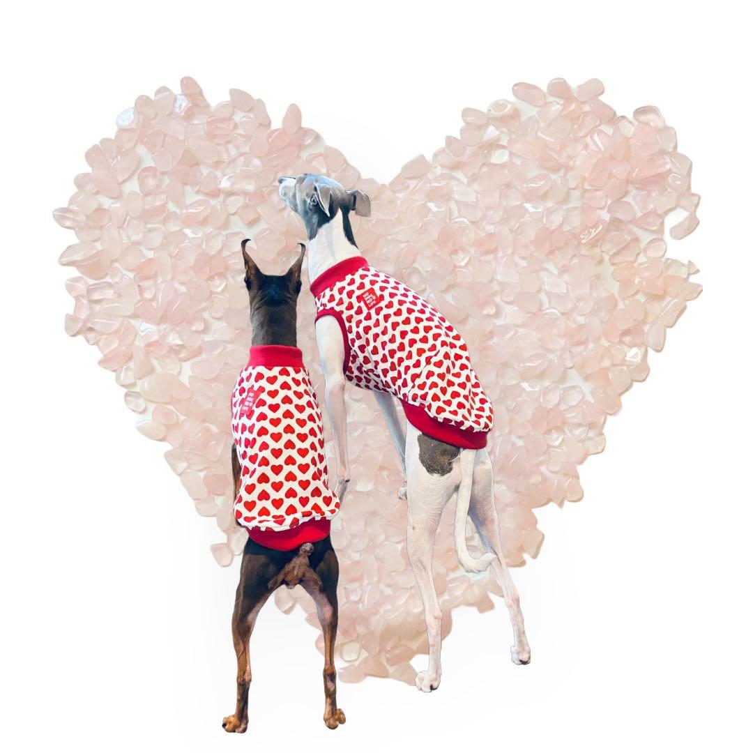 ⑩Full of hearts