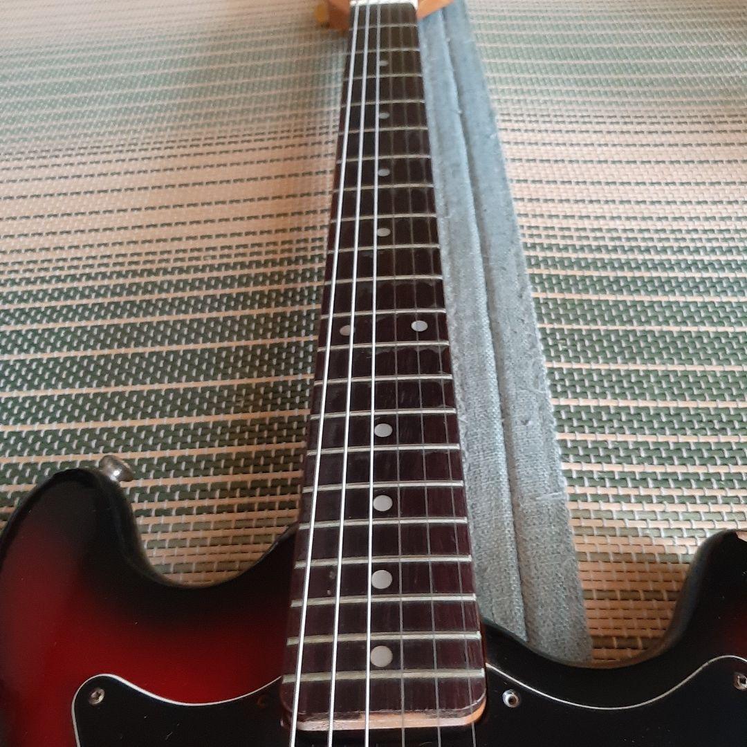 PASSION VEG-120 ヴィンテージ ビザールギター 弦新品