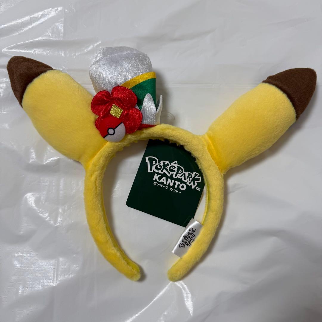ポケパーク カントー ピカチュウ まとめ売り