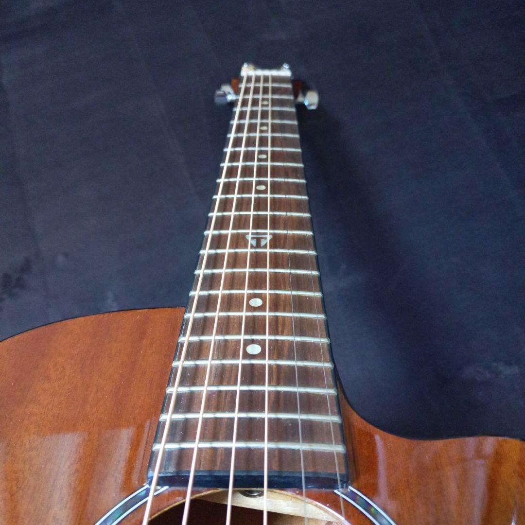 トラベラー アコースティックギターREDLANDS エレアコ仕様