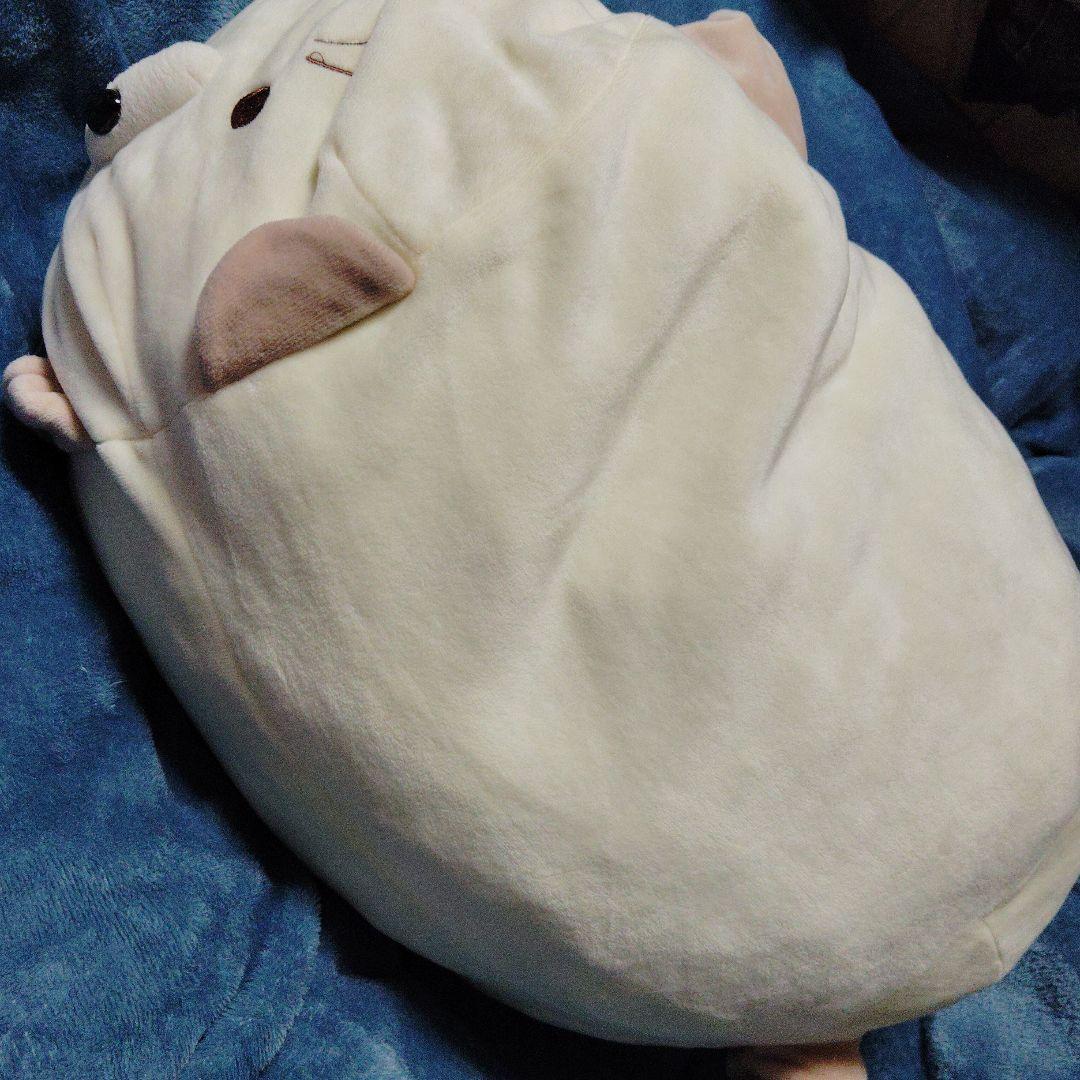 新品「ごろねこサミット 第1回おうち代表ねこ会議」ぬいぐるみ