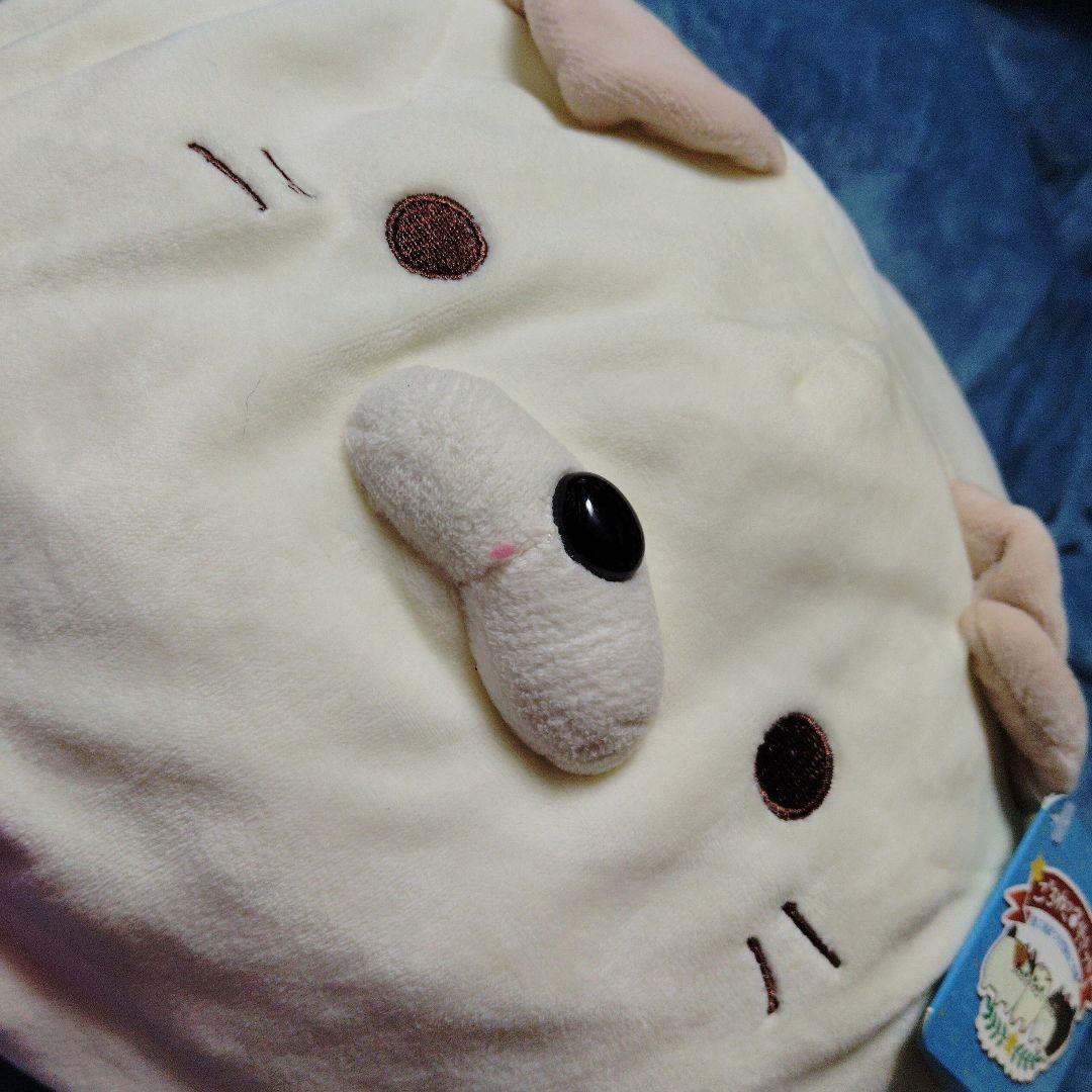 新品「ごろねこサミット 第1回おうち代表ねこ会議」ぬいぐるみ