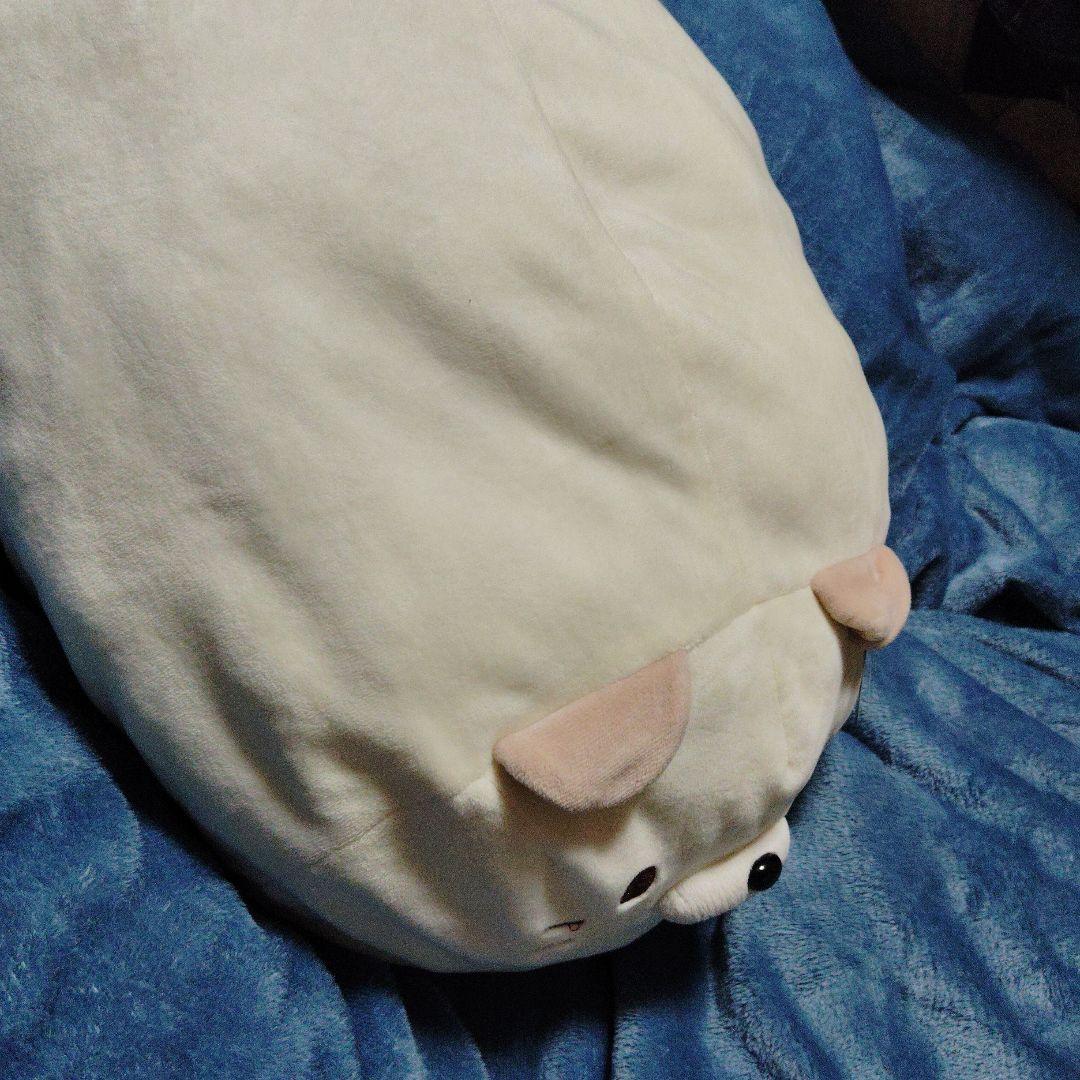 新品「ごろねこサミット 第1回おうち代表ねこ会議」ぬいぐるみ