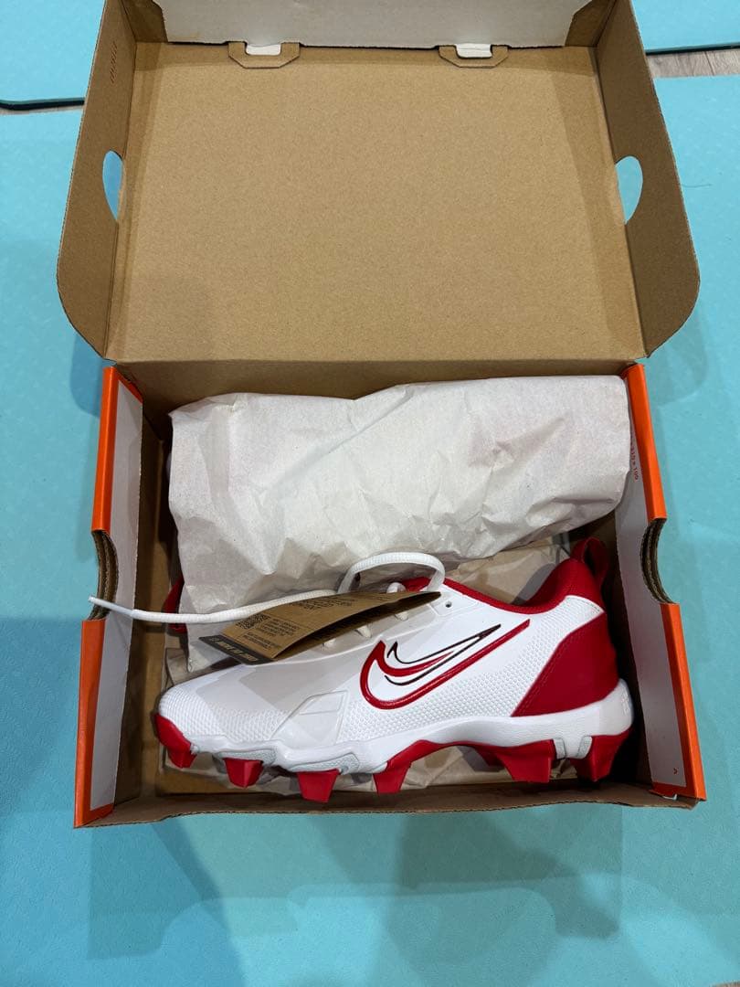 NIKEトラウトモデル　ジュニア用スパイク
