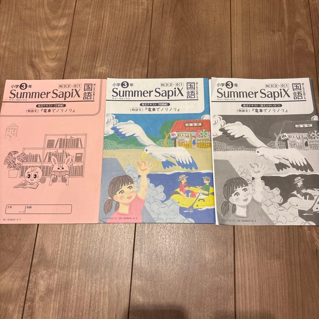 SAPIX 3年国語 Daily Sapix ほか教材セット