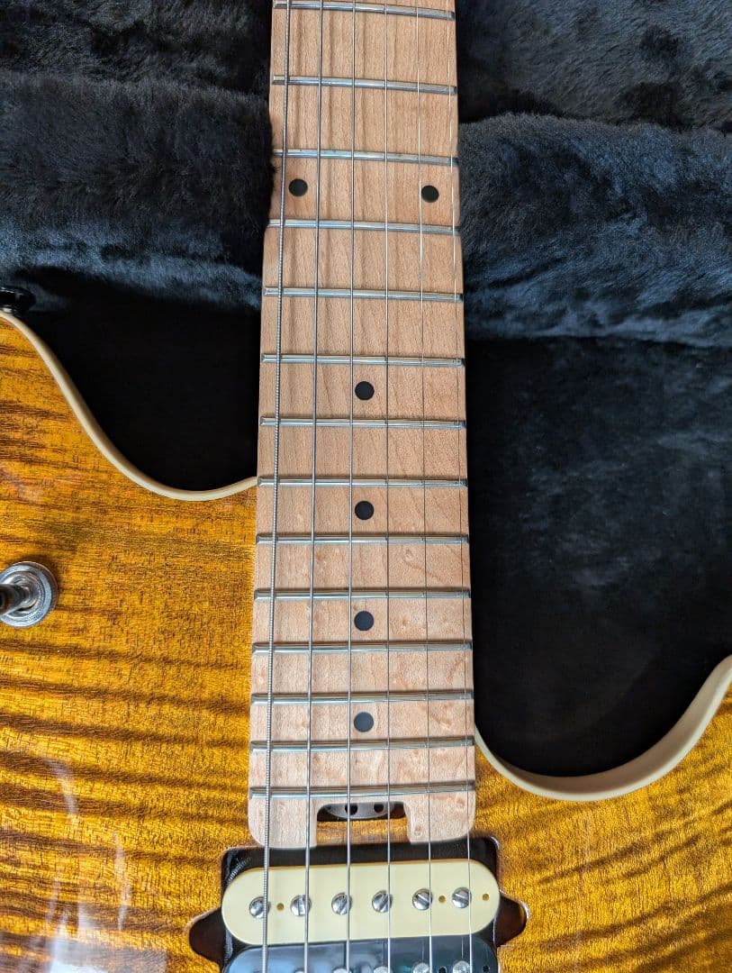 peavey HP2 エレキギター タイガーアイ