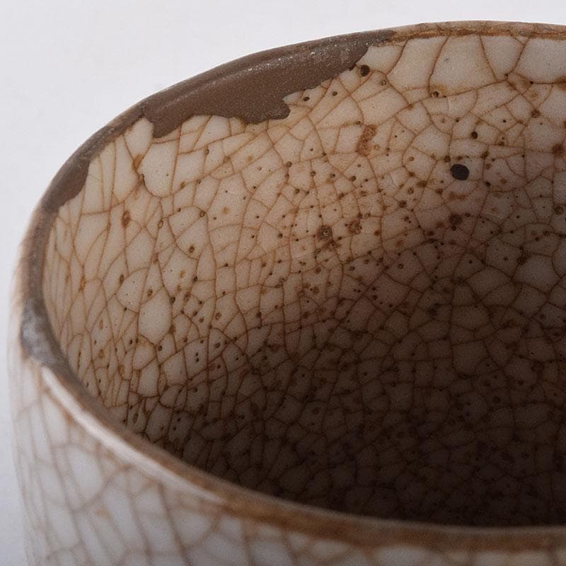 茶道具　古志野　梅絵図　茶碗　時代箱　V　R8652