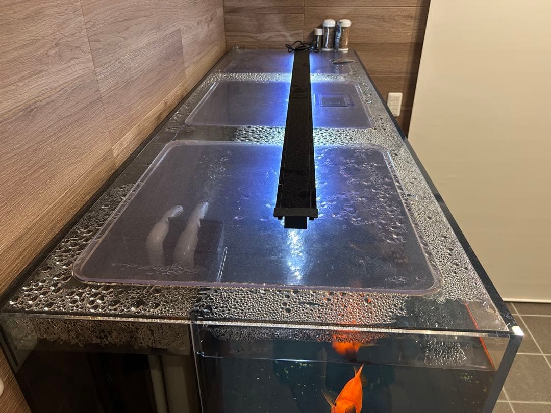【大型オーバーフロー水槽一式】1800×600×600 黒アクリル・即立ち上げ可