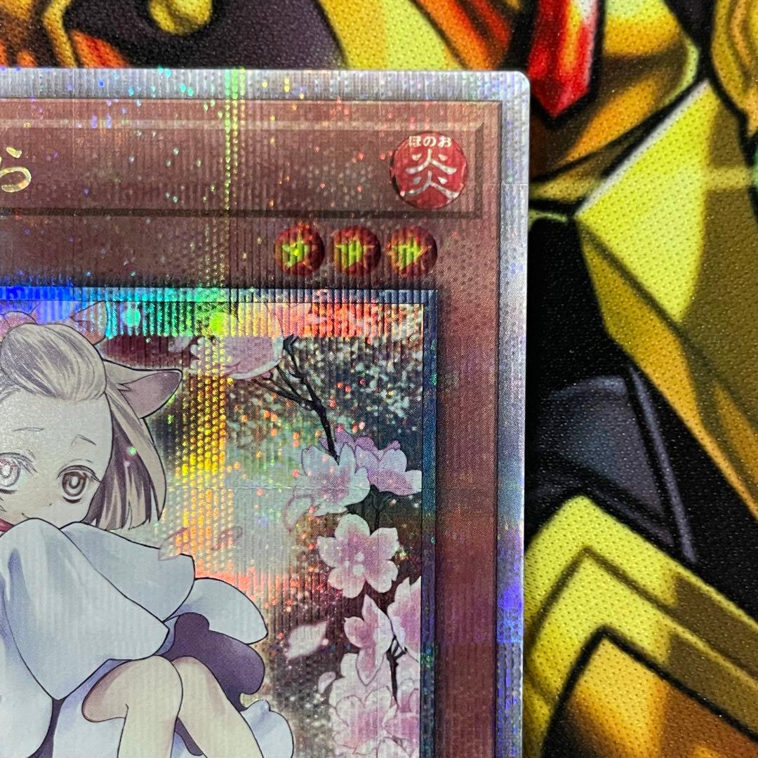 遊戯王　灰流うらら 絵違い 25thシークレットレア クオシク