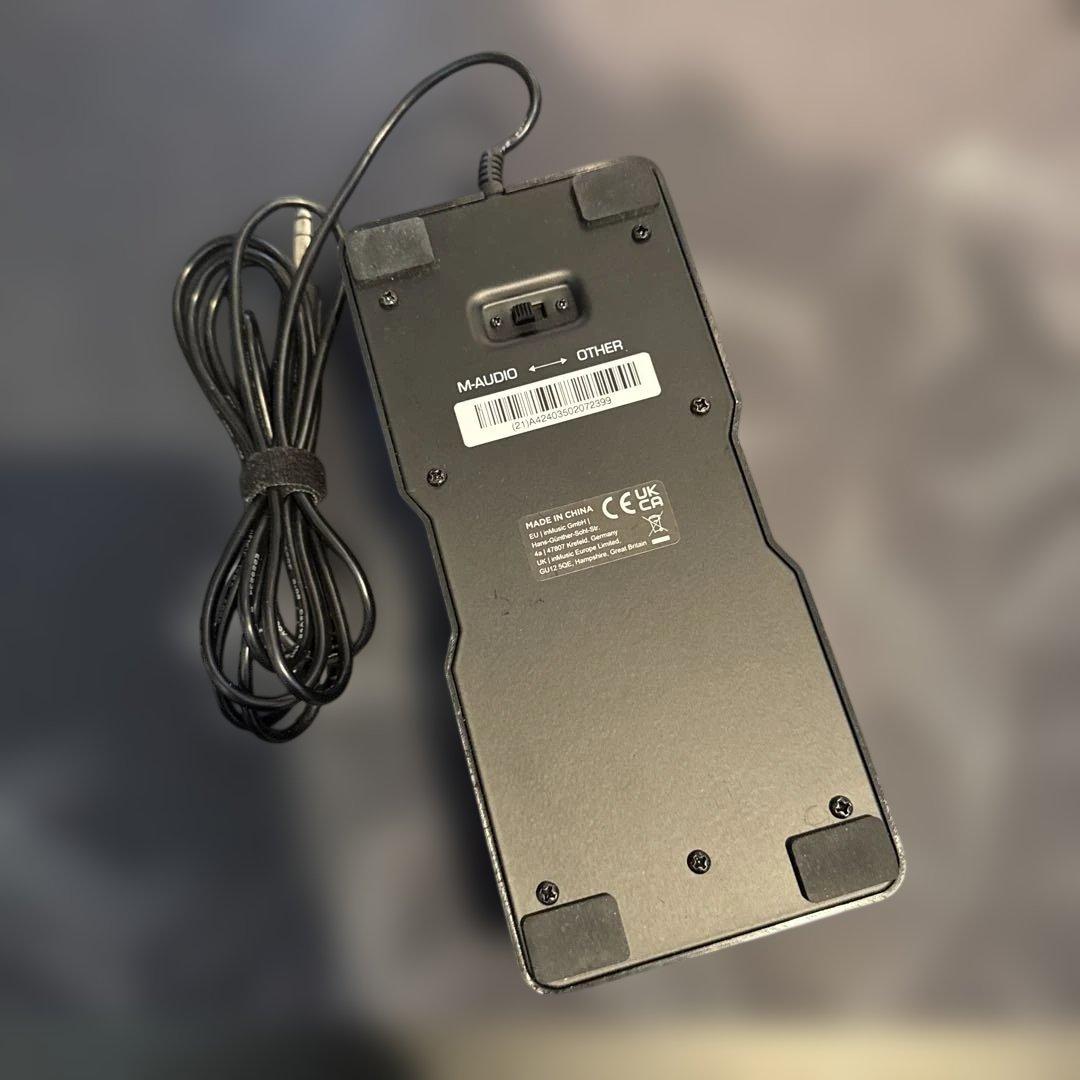 ギター BOSS GS-10
