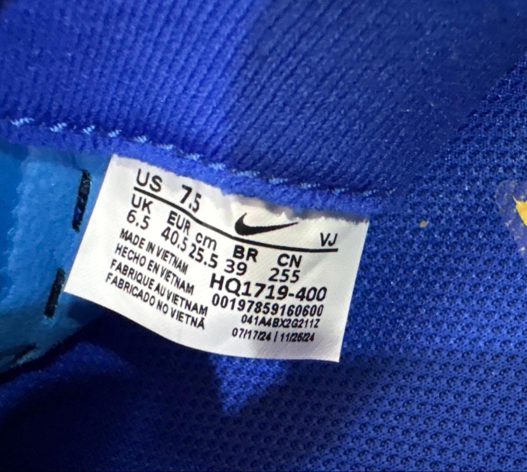 Nike ペガサスプラスCM ランニングシューズ　青　25.5㎝　H1