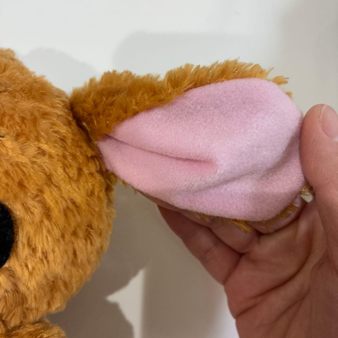 Sugarbunnies ぬいぐるみ カプチーノうさタグ無Sanrio サンリオ