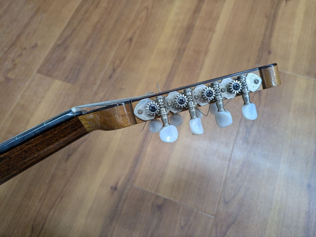 マンドラ Mandola(セミハードケース付)【落合忠男製作/特注品】