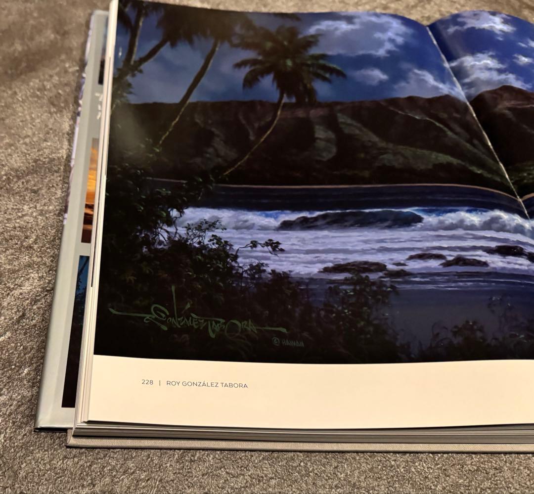 1点物　美品　ロイ.タボラ Jewel of the Night