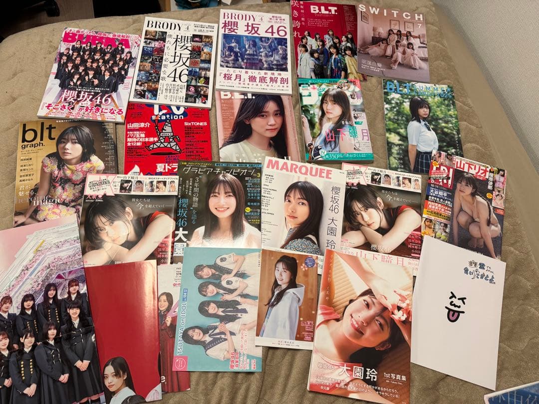 櫻坂46 グッズ収集の引退品 ※まとめ売りのみ 大園玲