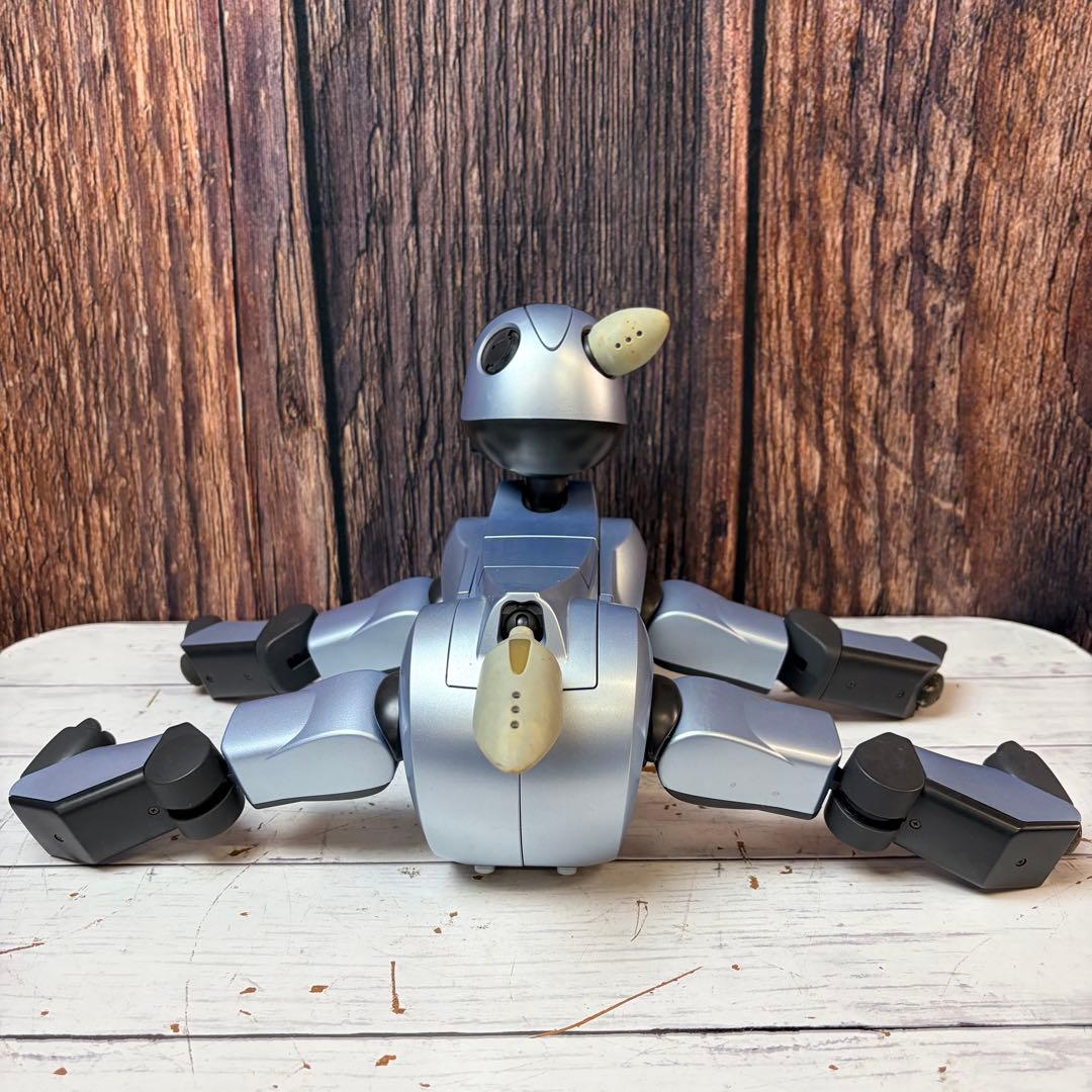 SONY ソニー AIBO アイボ ERA-210P1 シルバー 通電確認済