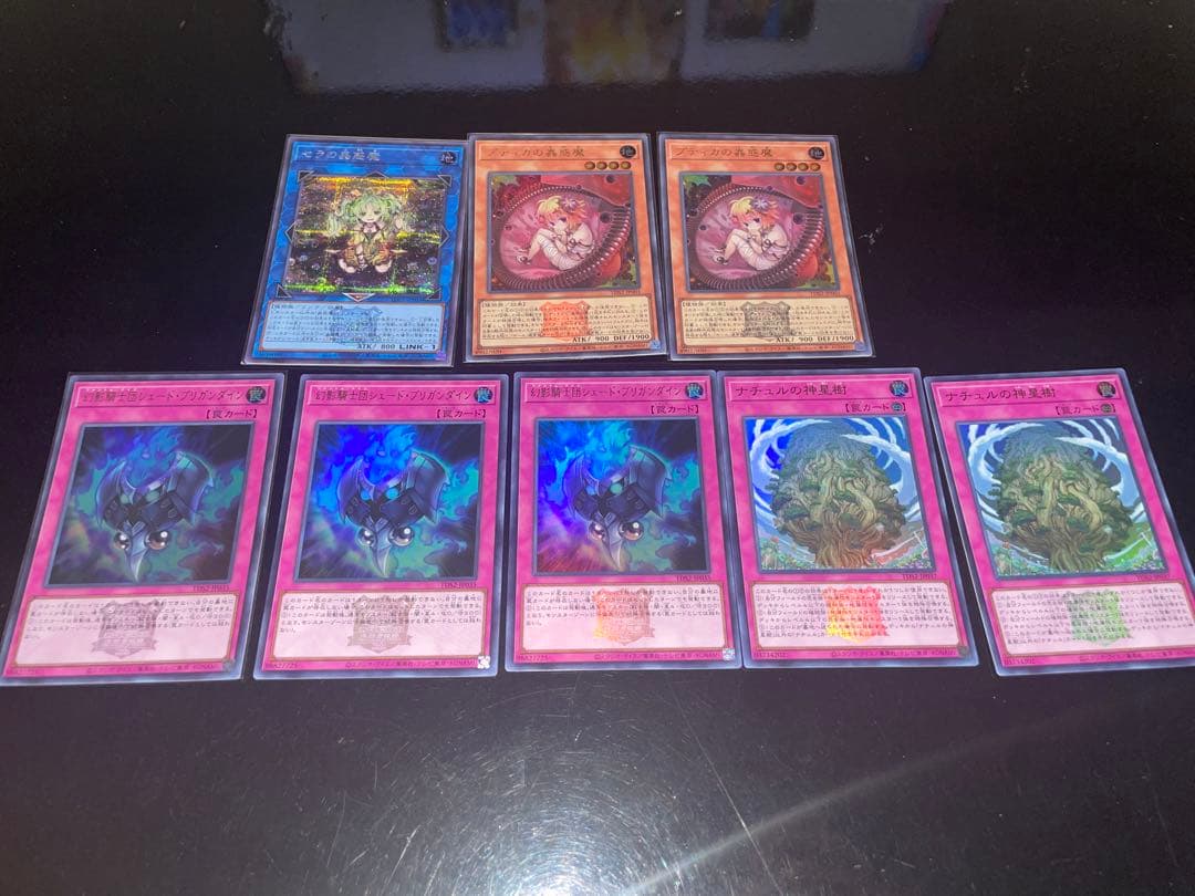 蕾禍蟲惑魔本格構築デッキ売り⭐︎決闘者伝説版⭐︎オマケ有