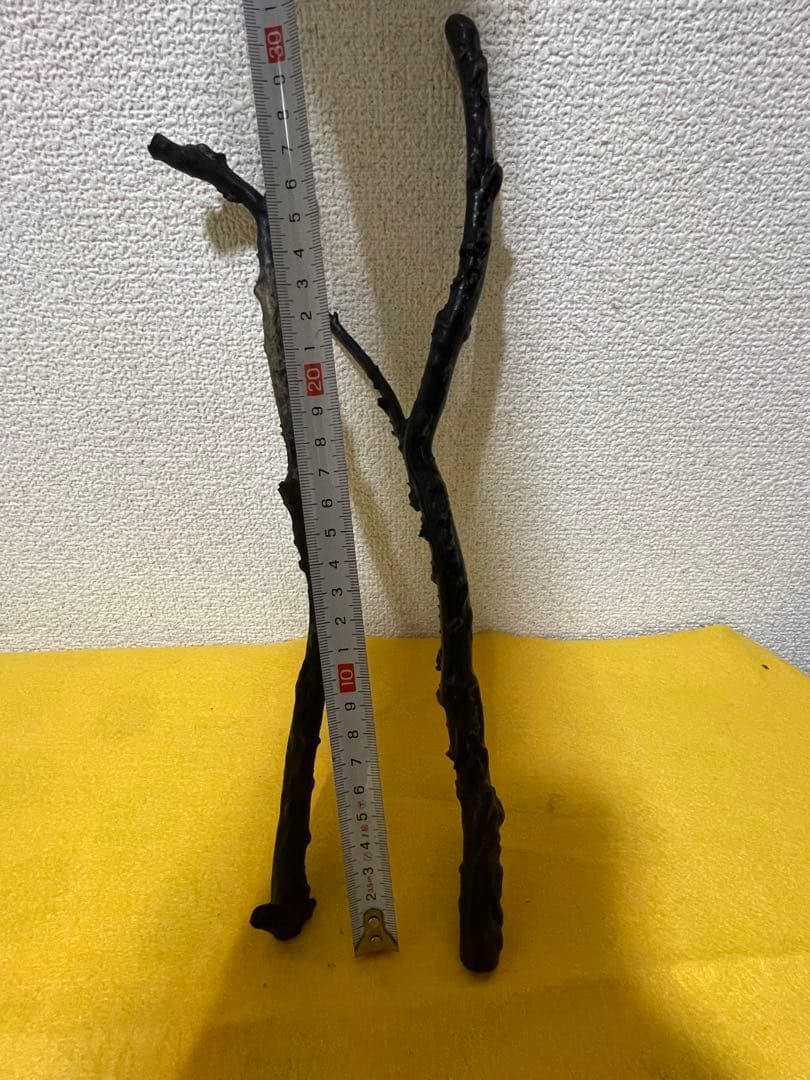 黒珊瑚　深海松　原木