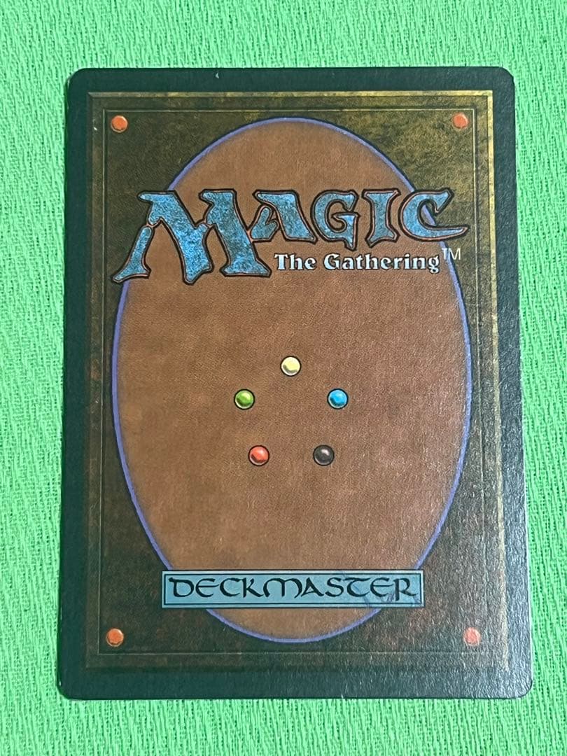 マジック：ザ・ギャザリング MTG Taiga