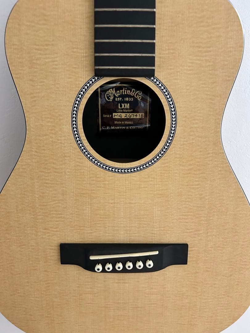 Martin & Co. LXM アコースティックギター