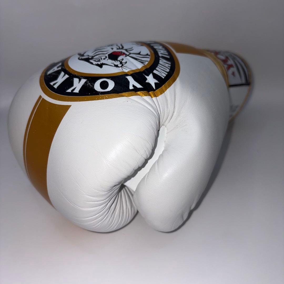 【希少モデル】 YOKKAO ヨッカオ 10オンス ボクシング グローブ
