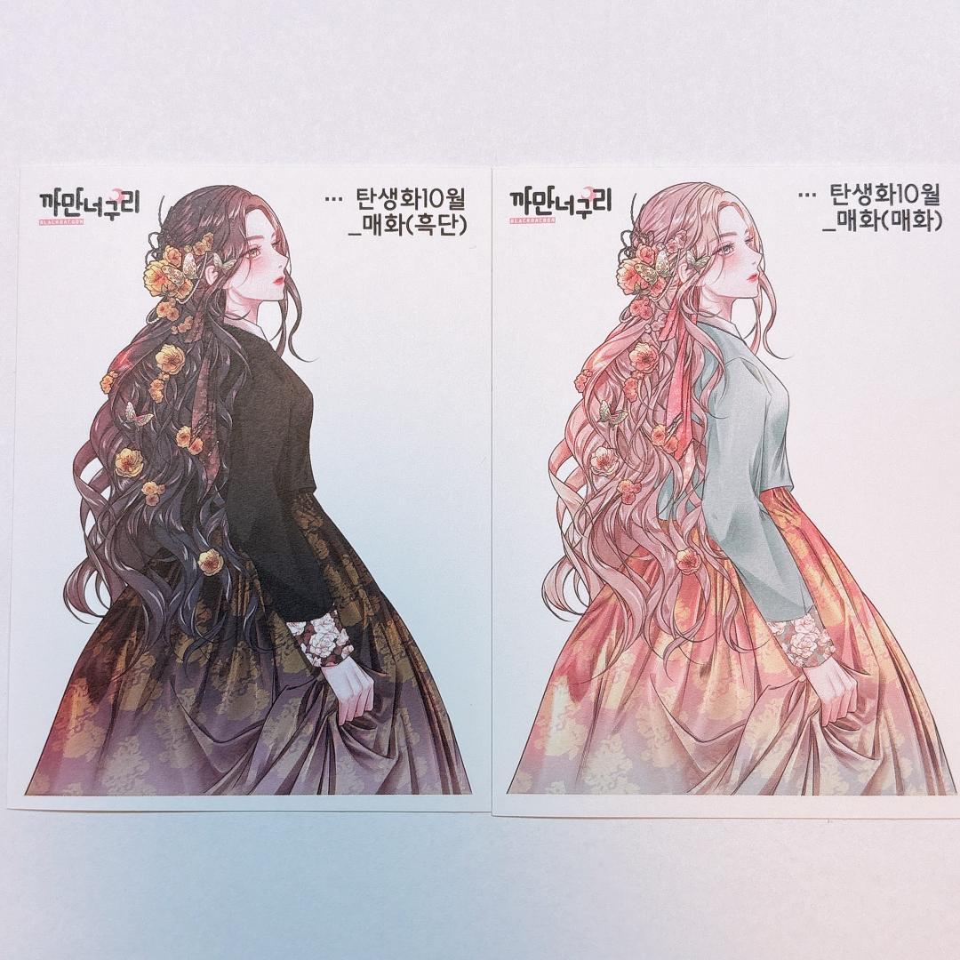 A3.人物ステッカー　韓国作家　黒いたぬき様　セット売り　在庫２セット