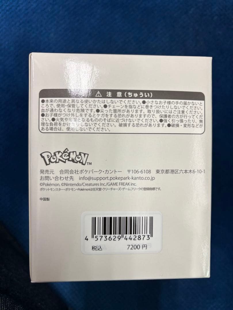 ポケパークカントー限定　イーブイズ　アクリルキーホルダーフルコンプセット