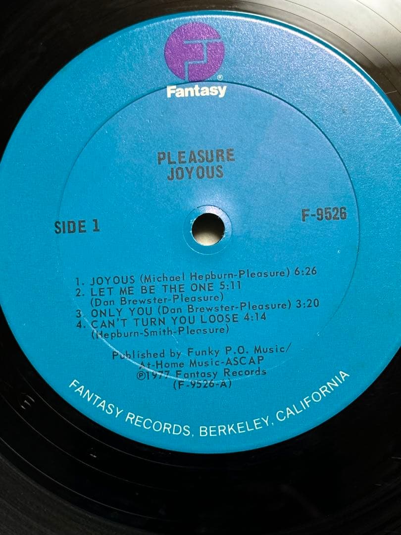 PLEASURE／JOYOUS