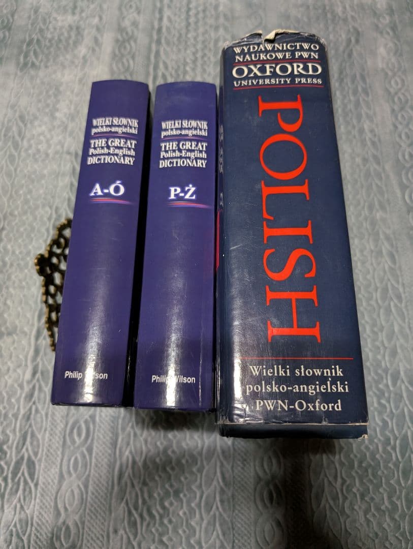ポーランド語 英語 辞典 対訳 オックスフォード 辞典 発音 語学 参考書 洋書
