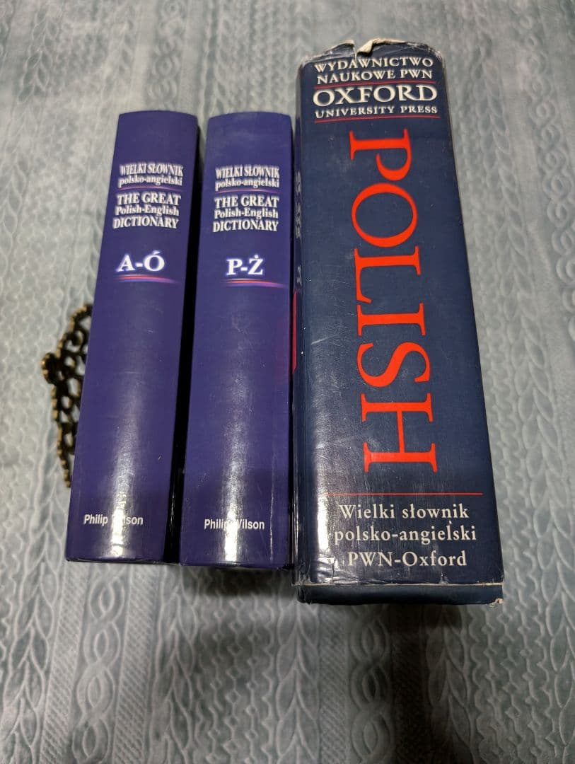 ポーランド語 英語 辞典 対訳 オックスフォード 辞典 発音 語学 参考書 洋書