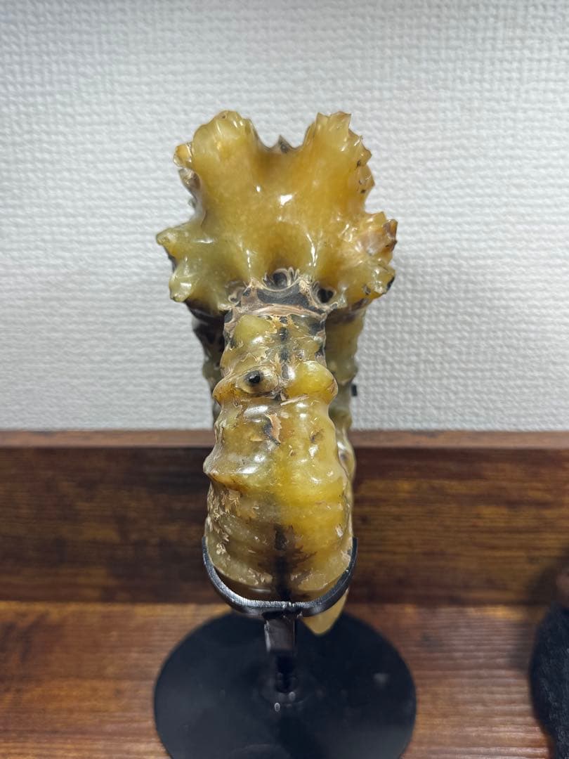 マダガスカル産 アンモナイト 化石 鉱物標本