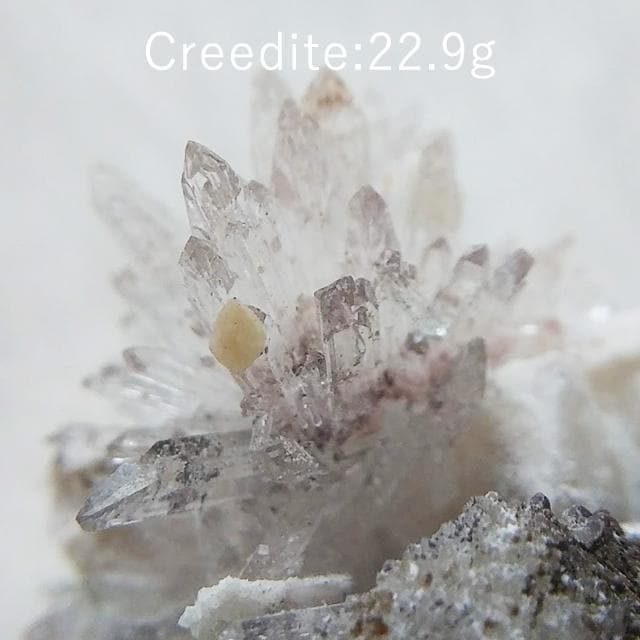 22.9g　クリード石　クリーダイト　鉱物標本