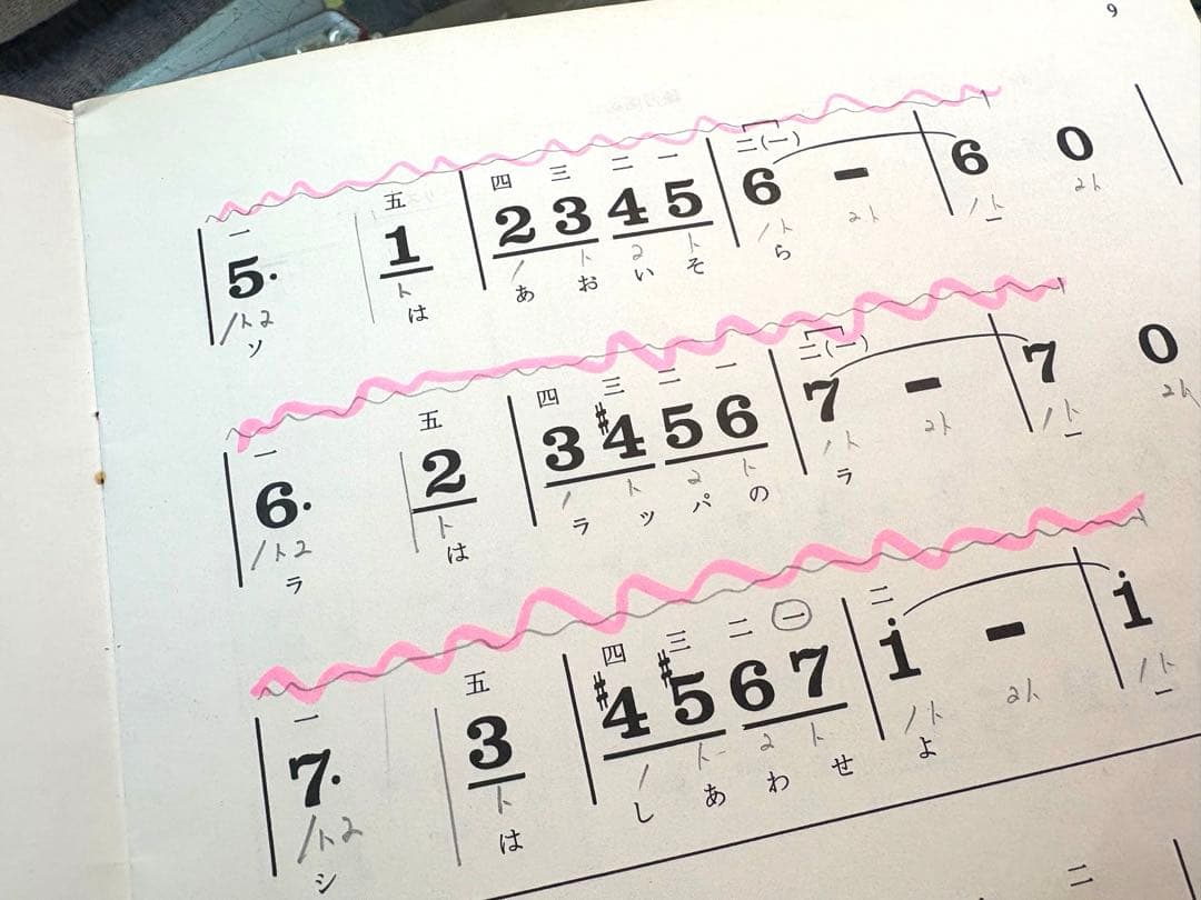ライリッシュ 大正琴 LPS50 和楽器 専用ソフトケース 楽譜付き