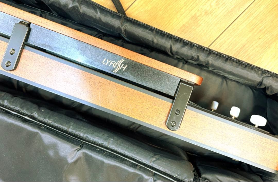 ライリッシュ 大正琴 LPS50 和楽器 専用ソフトケース 楽譜付き