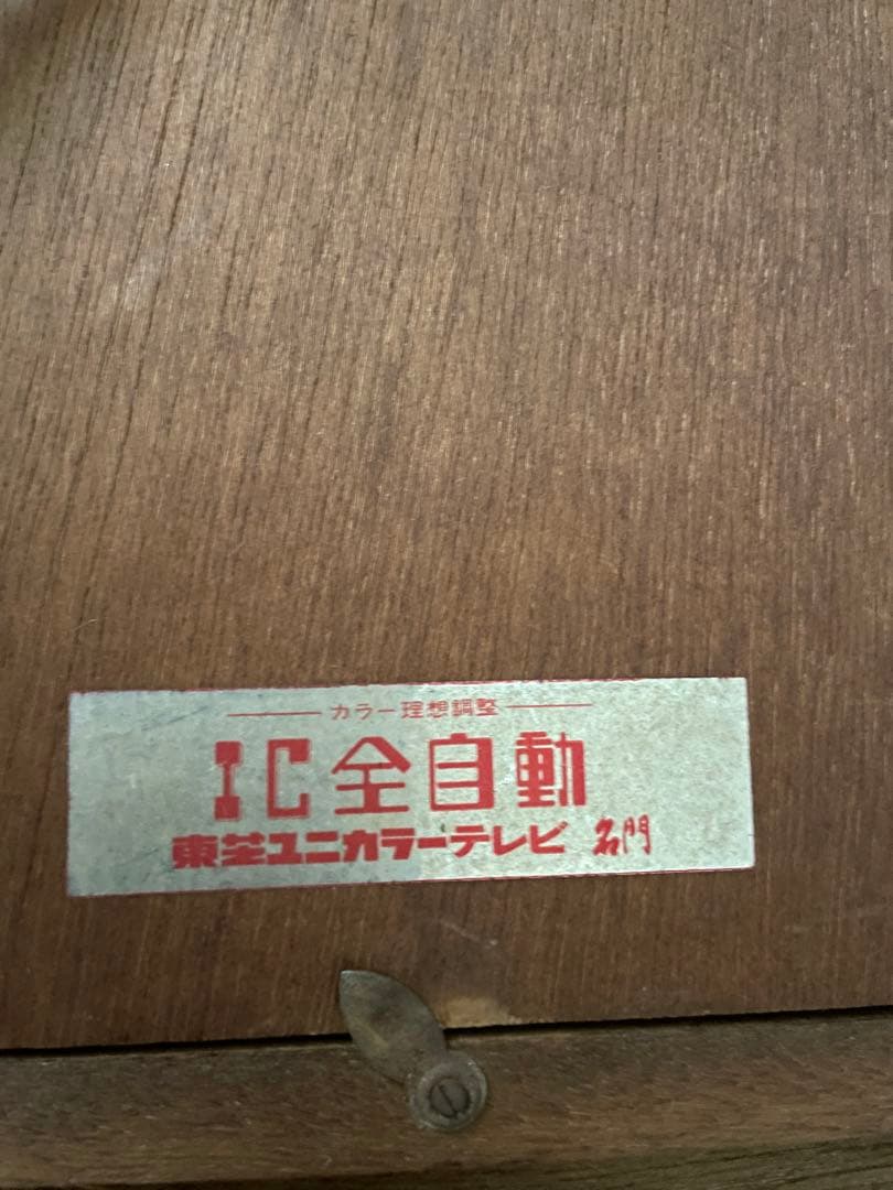 猫を抱く少女