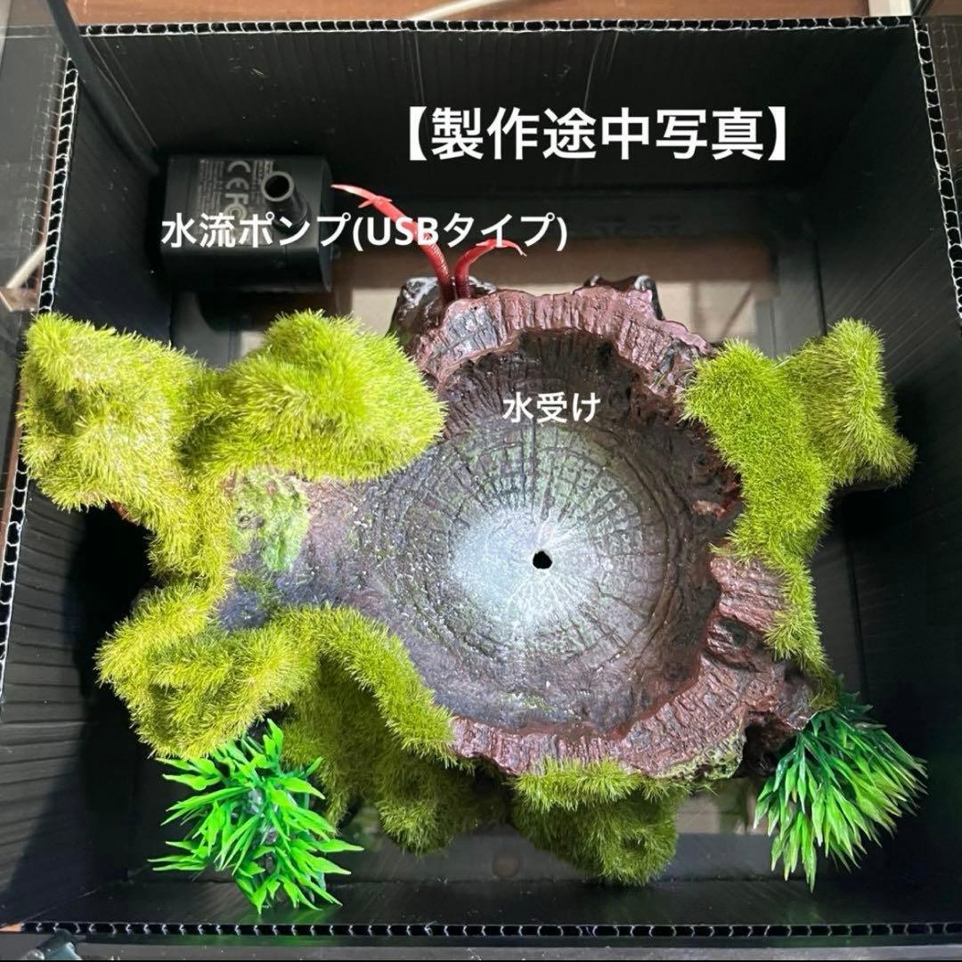 【最終値下げ】レイアウト水槽 イモリウム カエルリウム