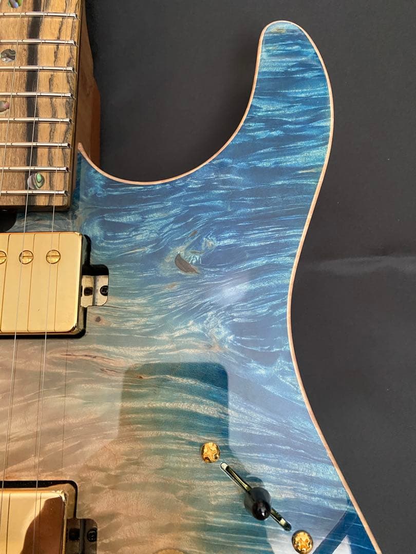 【極美品】T's Guitars DST-Pro24 ～Legend Blue～
