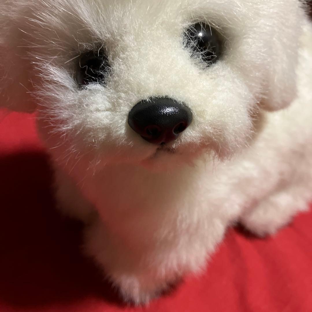 ぬいぐるみ犬　マルチーズ　リアル　白い犬　レトロぬいぐるみ