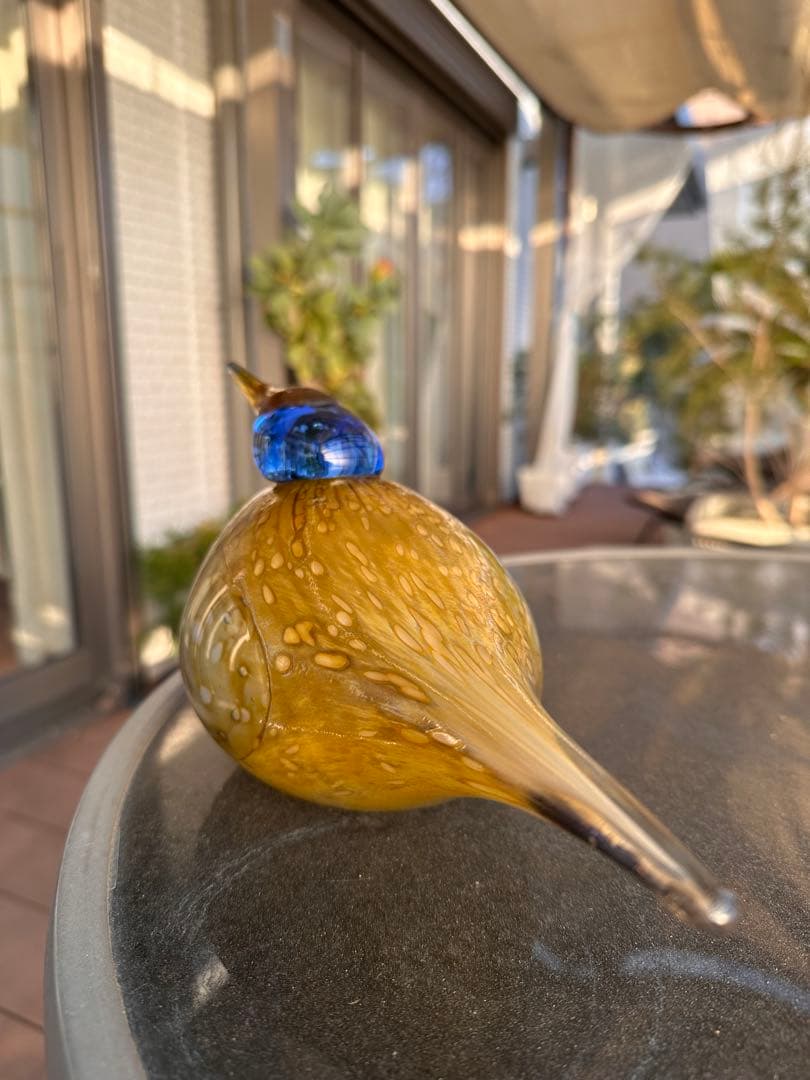 イッタラ　オイバトイッカ / Dotterel