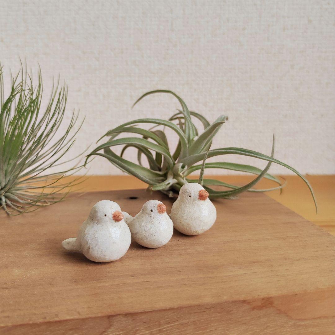 白文鳥の家族