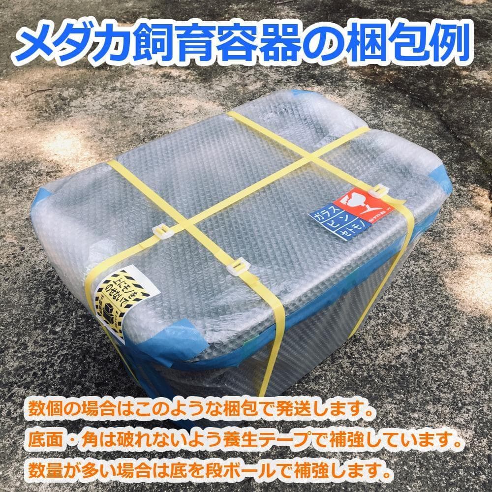 メダカ飼育ケース 60㍑トロ舟x4個 オーバーフロー 金魚飼育容器 ビオトープ
