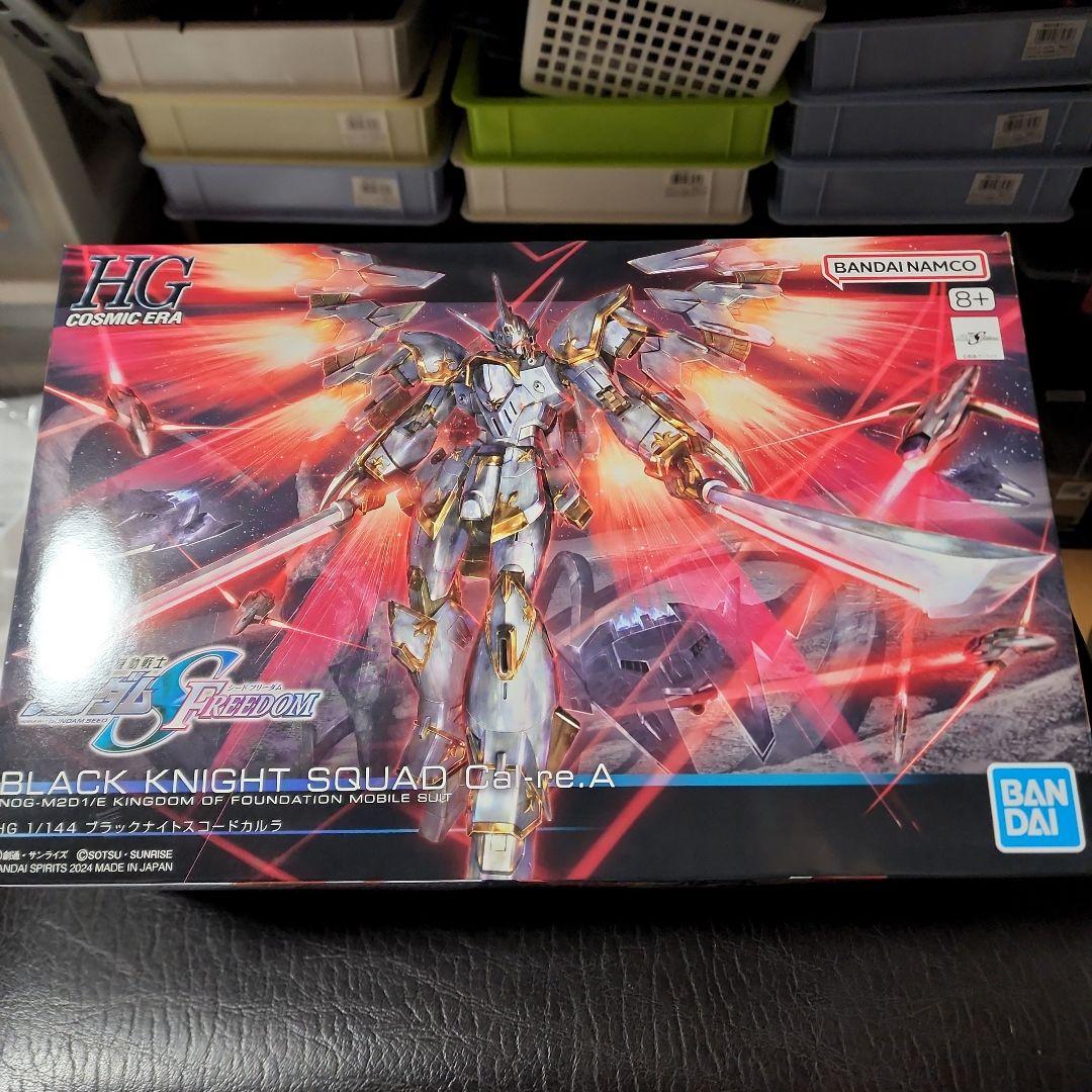 虎*助様 HG BLACK KNIGHT SQUAD 1/144 セット