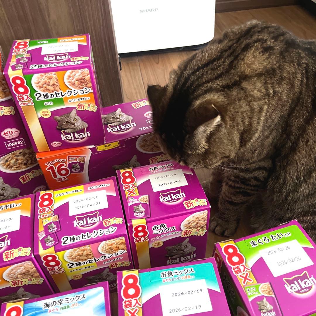 kalkan キャットフード パウチ 色んな味✨️70g×136袋 ゼリー仕立て