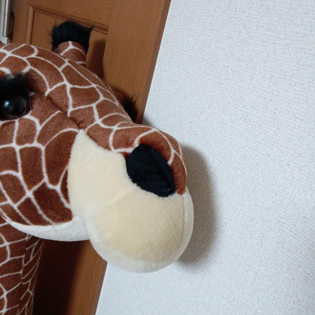 コメント下さい！きりんの等身大
